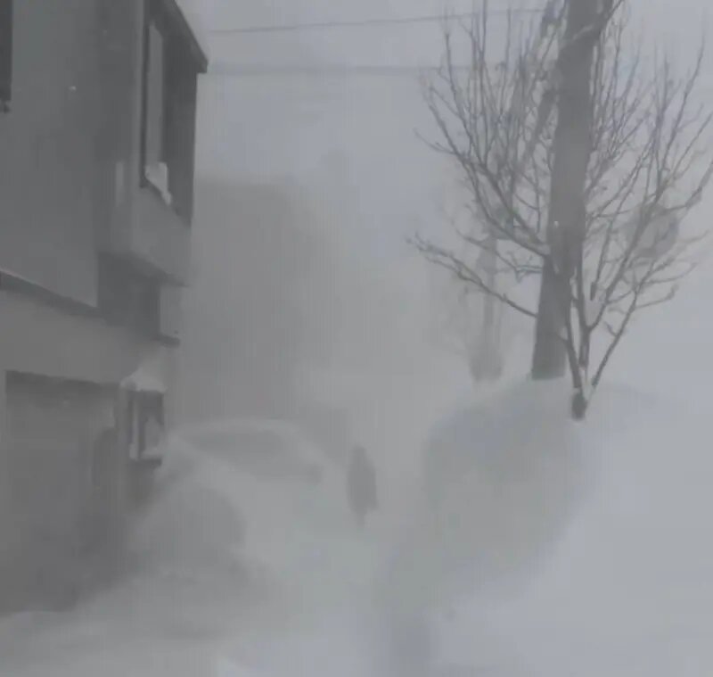    Фото: скриншот видео «Фобос. Катаклизмы и катастрофы природы»