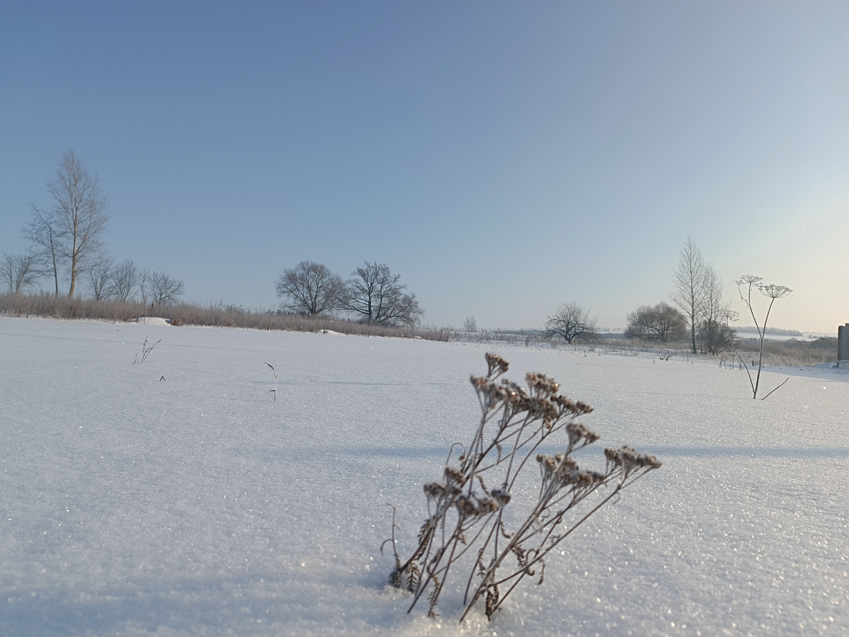 Морозит по утрам