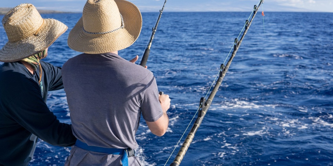 ТОП-20 лучших мест для морской рыбалки в Адлере в 2026 году