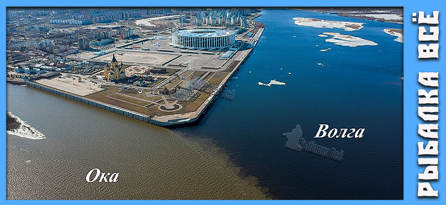 Встреча двух гигантов: что происходит на самом деле, когда сливаются Ока и Волга?