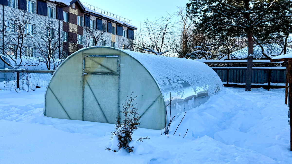 Снега в саду местами до 1 м!, 10 февраля 2026