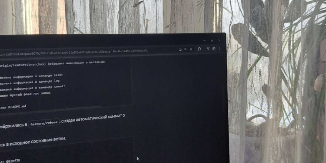 25.01.2026. Воскресенье в рабочем режиме