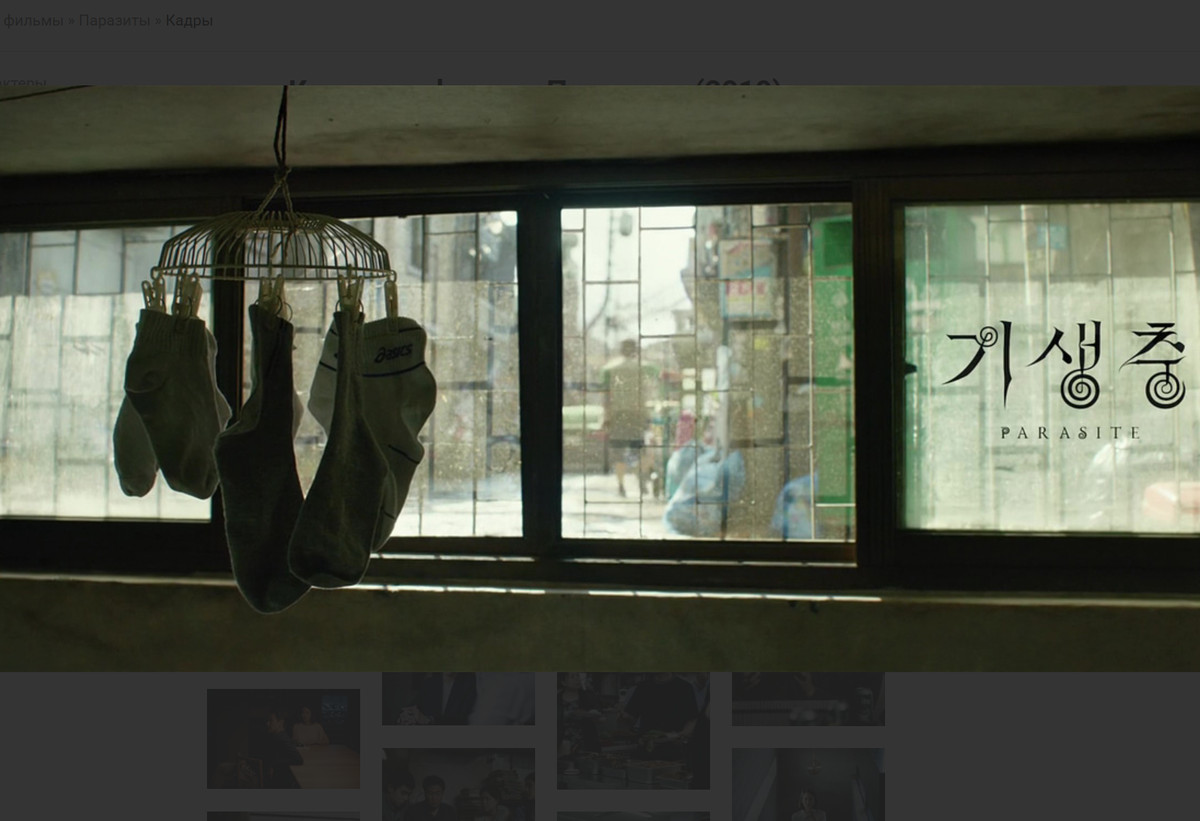 Их реальность — это скучный вид из окна