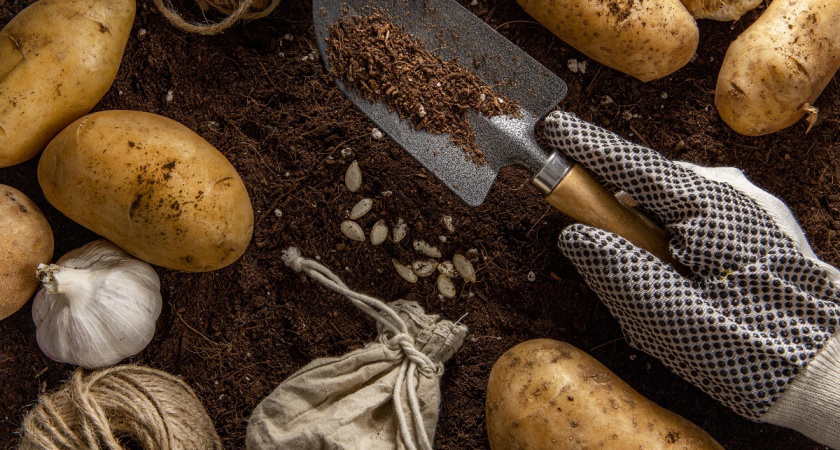    фото freepik.com