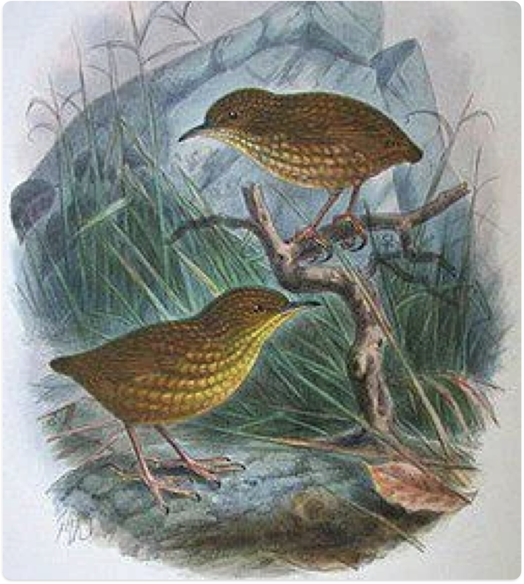 Источник: jeanjacketufo / https://bit.ly/3YZfurZ 