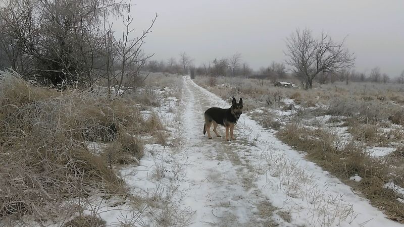 Фото автора