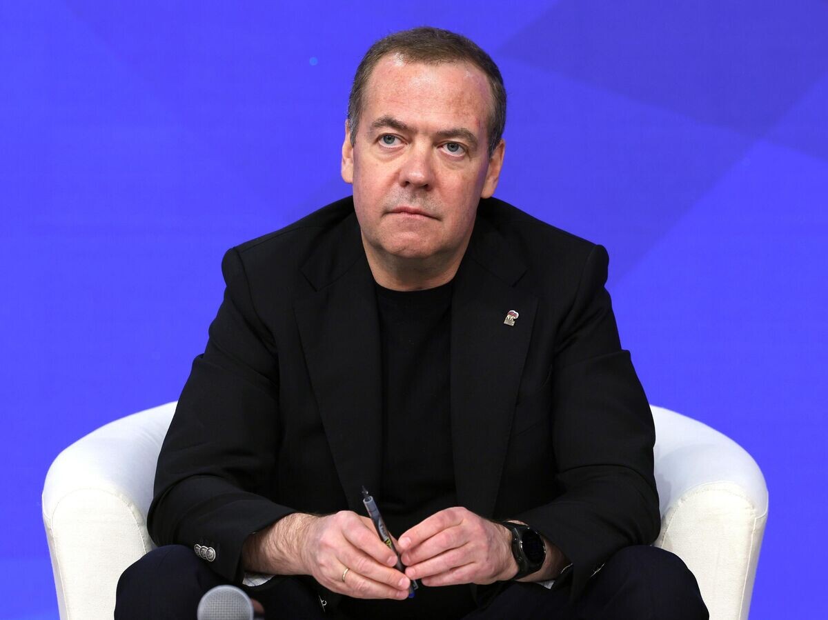    Председатель партии "Единая Россия", заместитель председателя Совета безопасности РФ Дмитрий Медведев на встрече с руководителями исполнительных комитетов региональных отделений партии "Единая Россия" | © РИА Новости / Екатерина Штукина