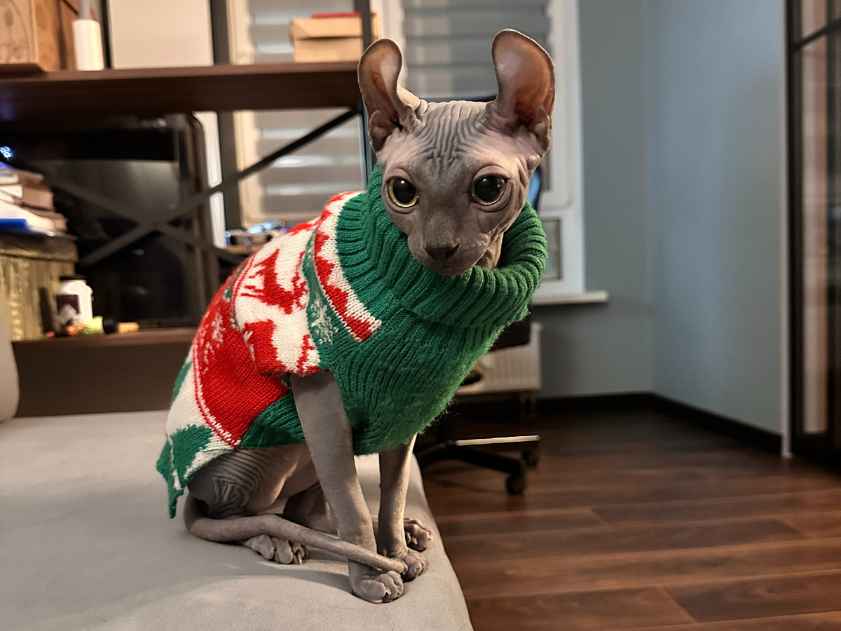 Здесь хорошо видно точку, создающую эффект перегиба хвоста 