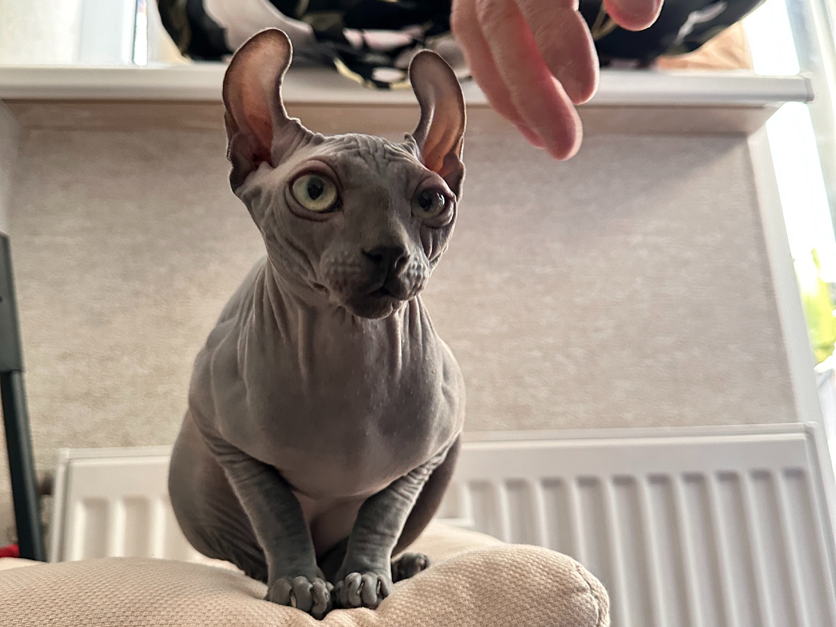 Эль щурила левый глаз дня два, шли обильные прозрачные выделения