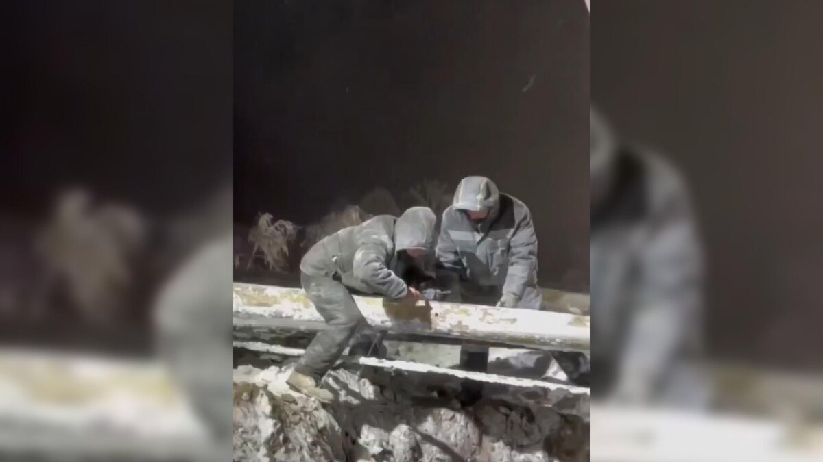    Фото: t.me/andrey_chibis