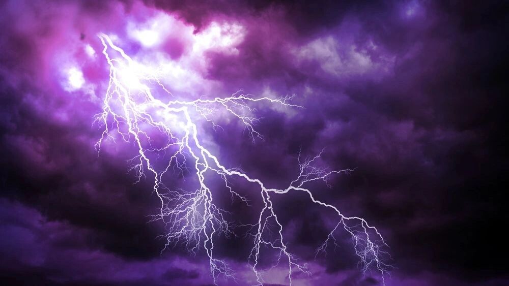    Фото: Den Rozhnovsky/Shutterstock/Fotodom