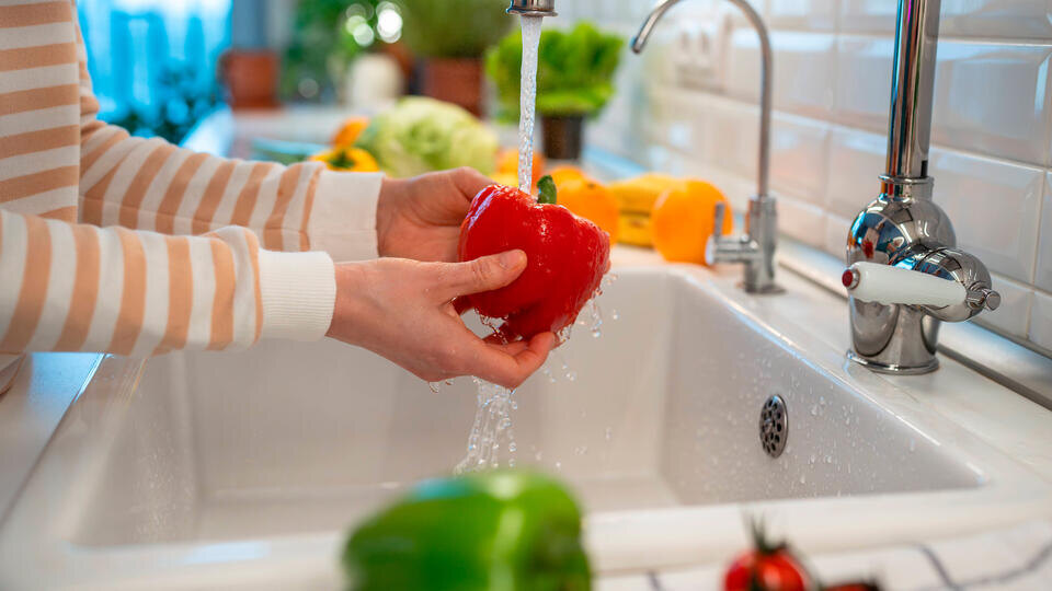     В РАН порекомендовали лучше мыть овощи из-за вируса Нипах www.globallookpress.com/IMAGO/Zoonar.com/Dmitrii Marchen