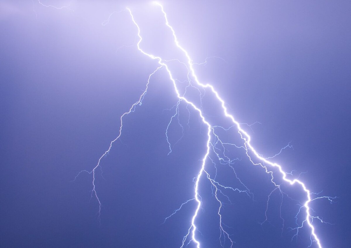     / Источник: © Svetlana Vozmilova/Global Look Press