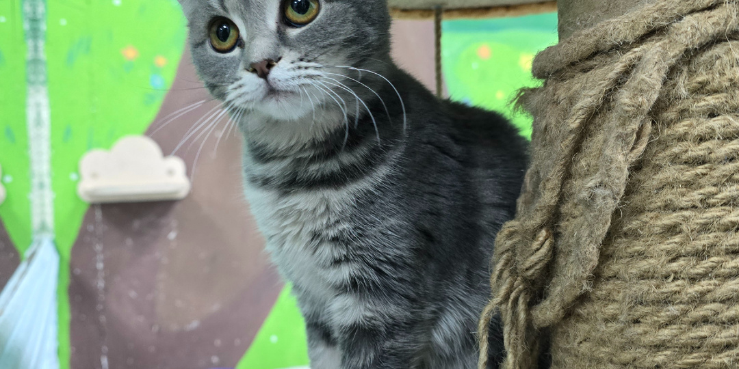 Она смотрит в окно, будто ждет.