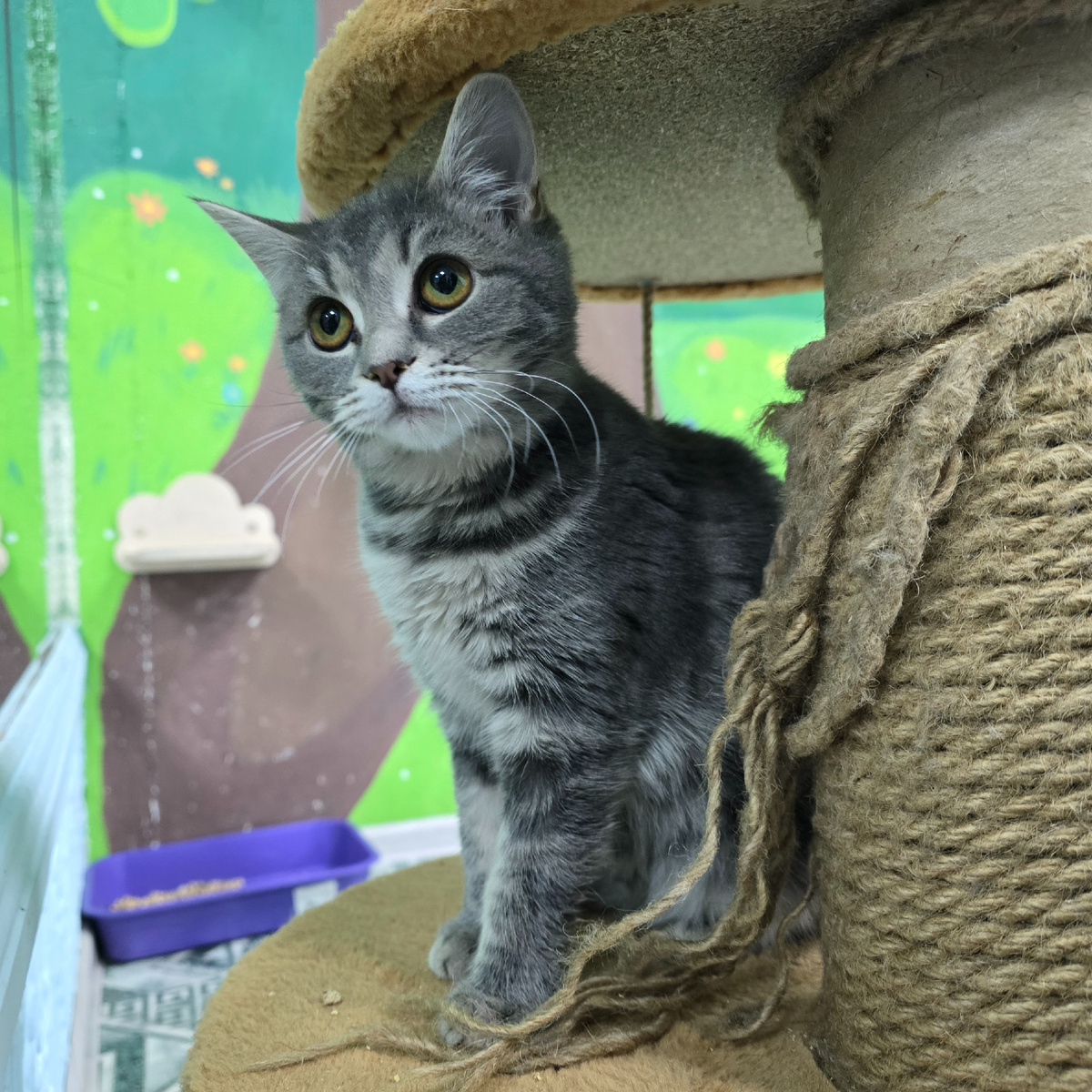 осторожные глаза в поисках любви