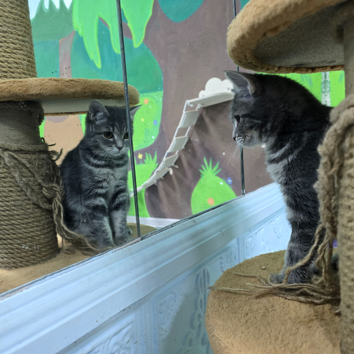 нежное любопытство 