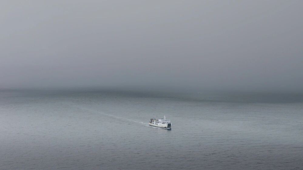    Фото: Darren M Green/Shutterstock/Fotodom