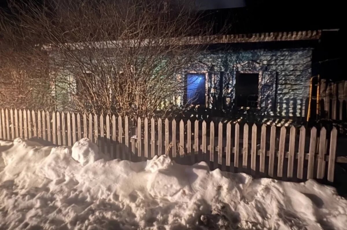    Двое погибли в пожаре из-за самодельного обогревателя в Омской области