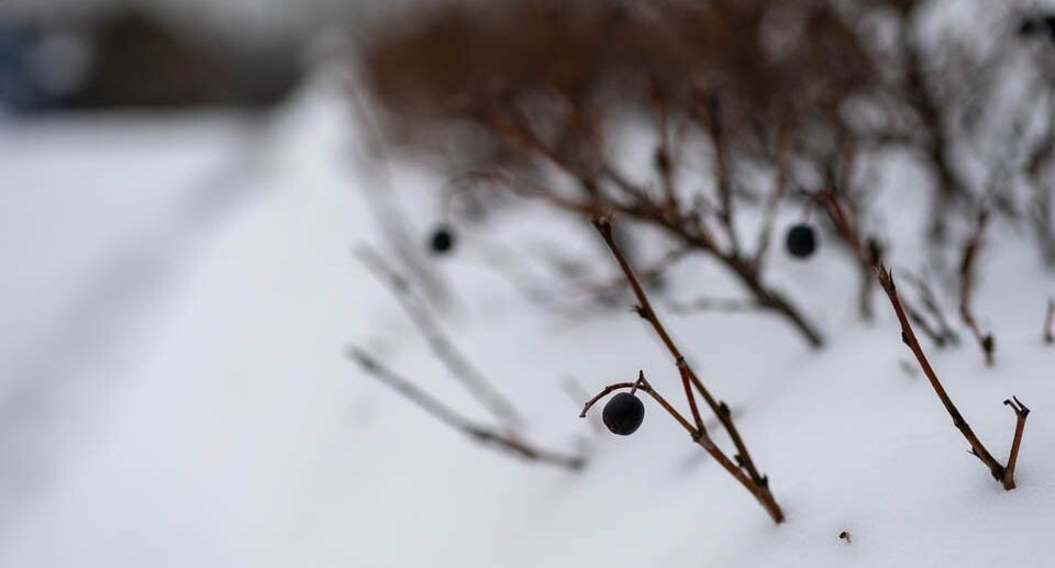    Фото: REGIONS/Роман Малышенко