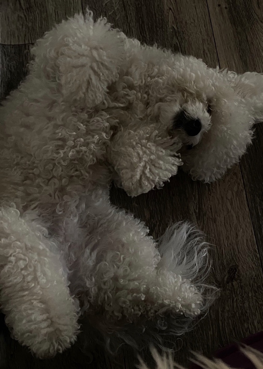 Елизавета Тодеришена