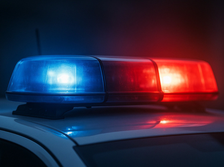     Фото: сгенерировано ИИ