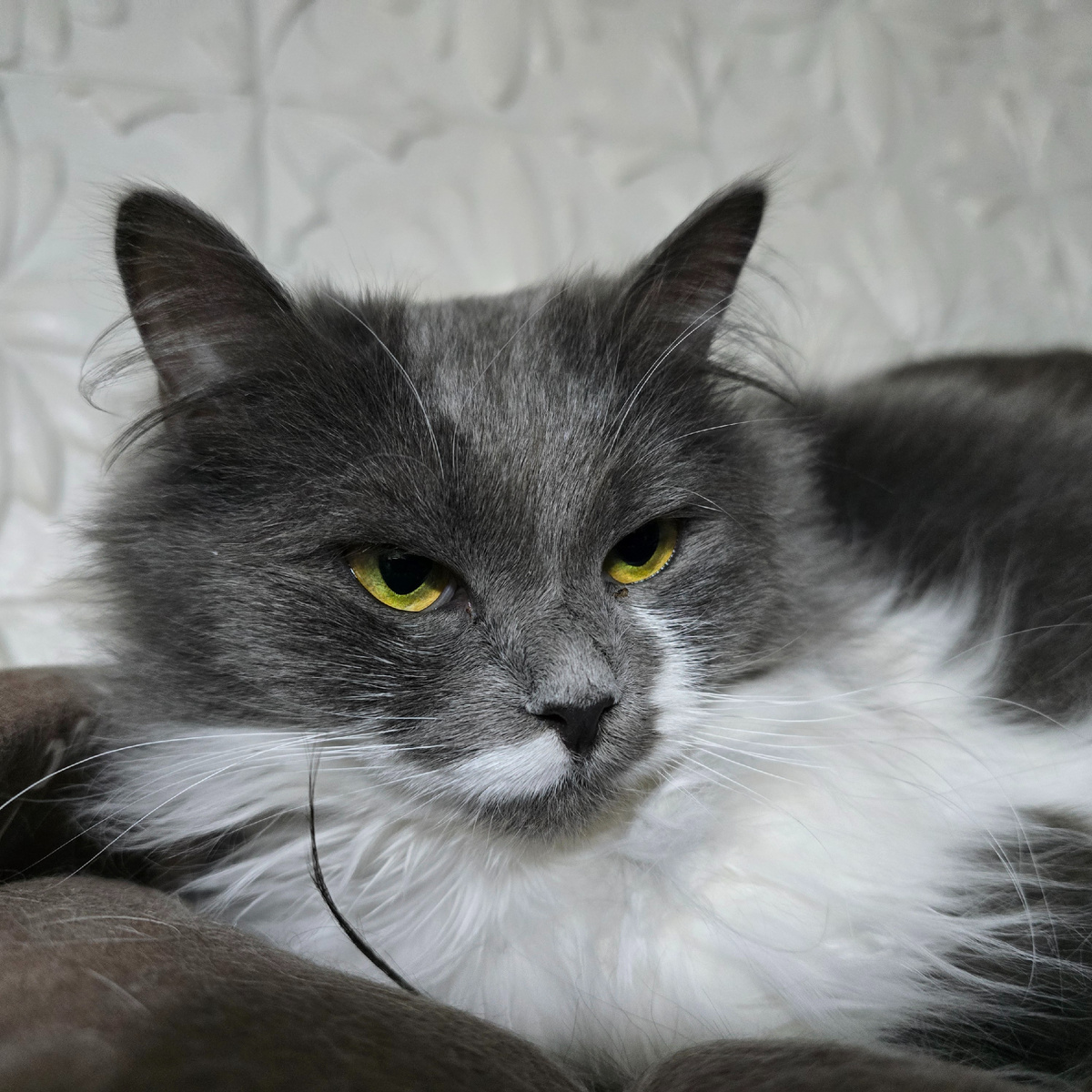 глаза полные печали и боли