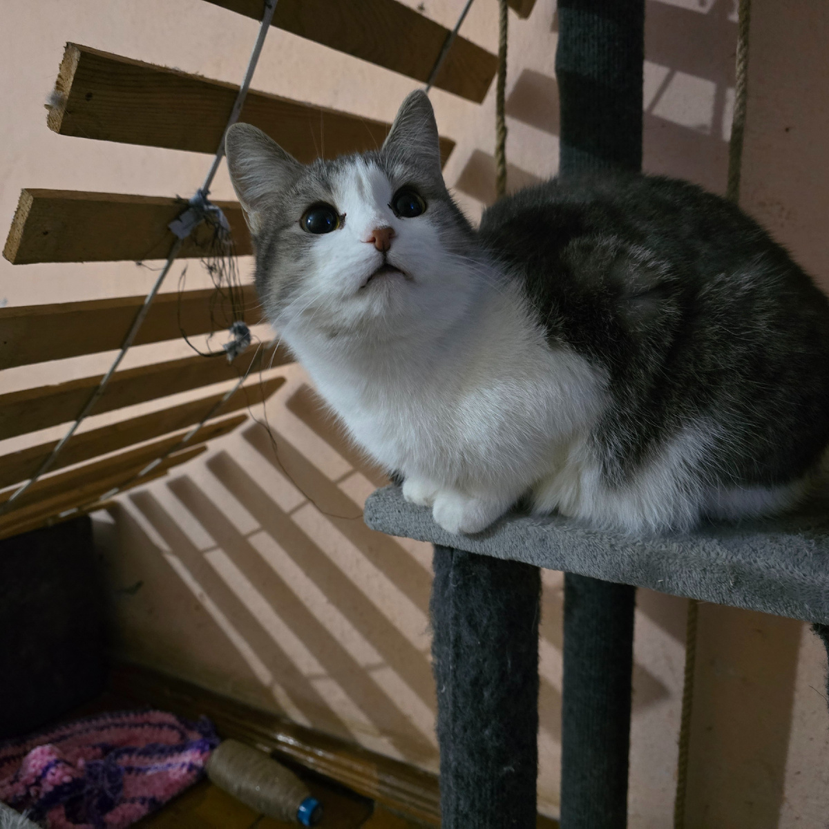 взгляд в никуда полный тоски