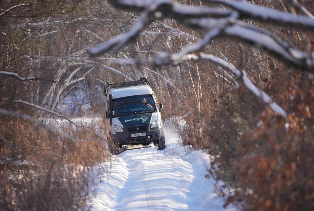 Фото: Илья Тян 