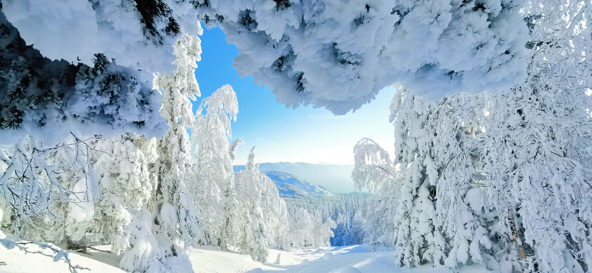 Поход на Большой Уван. На тропе к Большому Увану. 