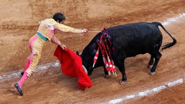 Фото из открытого источника