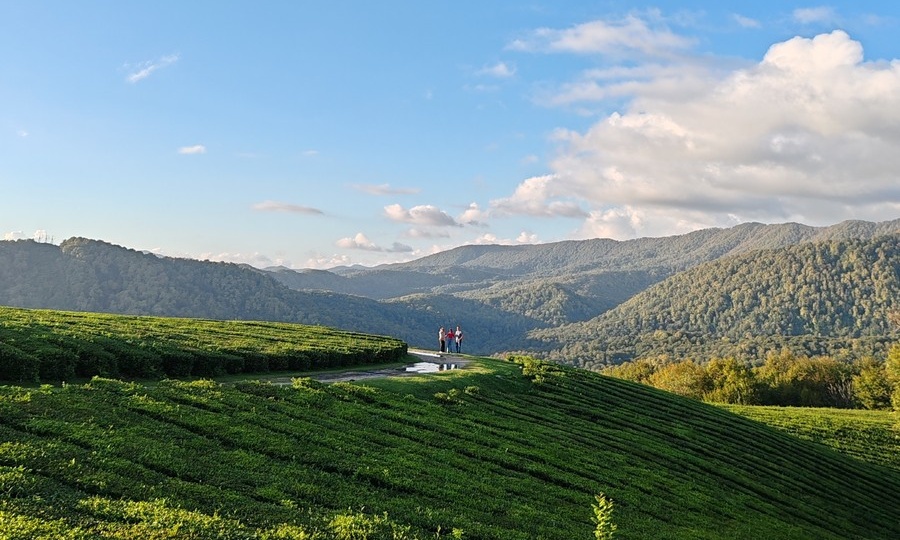 ТОП-20 лучших экскурсий из Адлера в Сочи в 2026 году