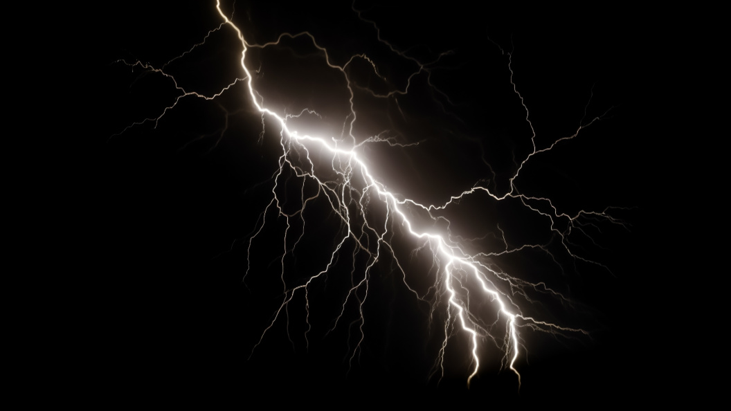    фото:Shutterstock