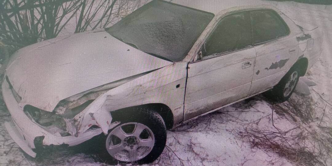 Пьяный водитель без прав сбил семью с ребёнком и врезался в дерево в Чите