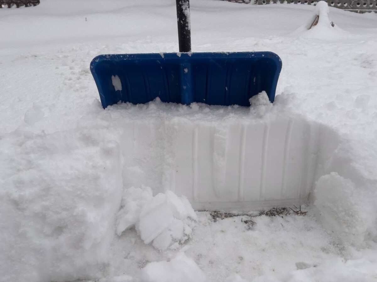 Погода на Сахалине / Фото: Наталья Краснова