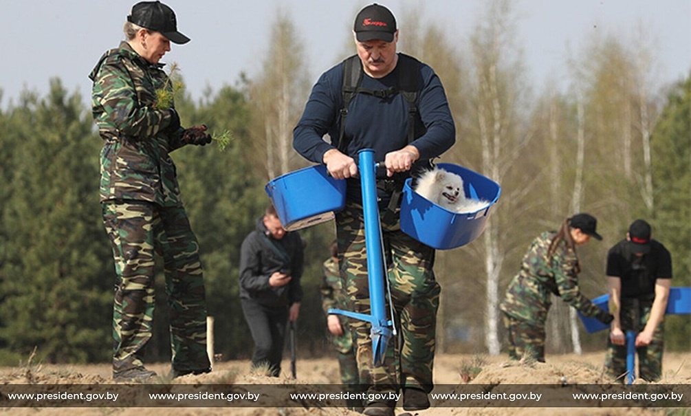    Шпиц Умка имеет гораздо больше прав по сравнению с украинцами, а не с белорусами. Фото пресс-службы Александра Лукашенко.
