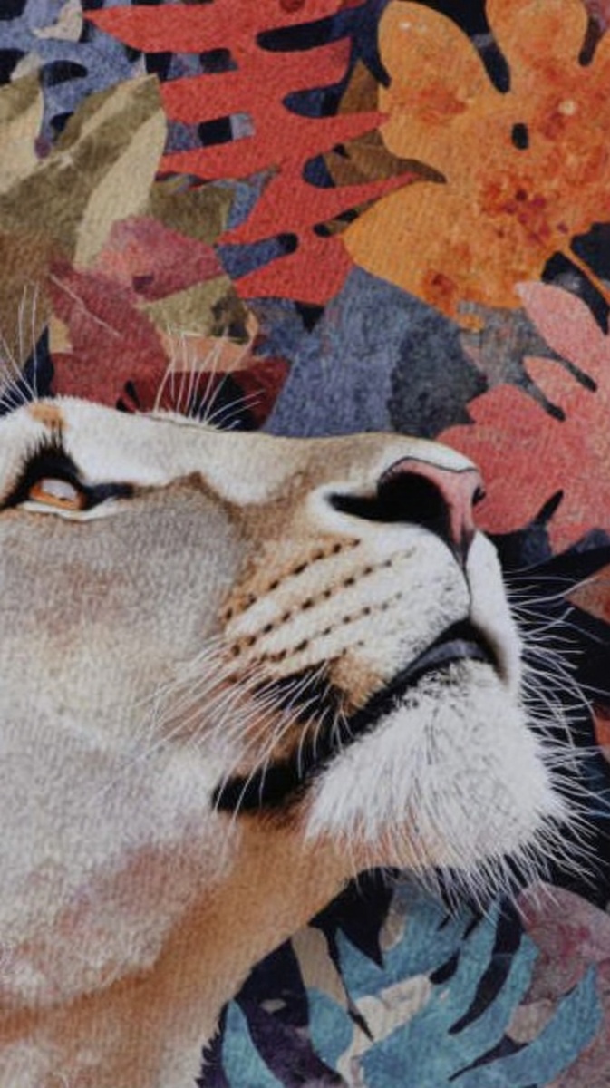    Белуха отражается в глади ледникового озера, и этот кадр — лишь начало вашей истории. President5621