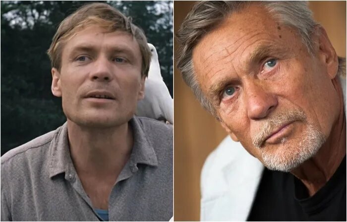 Изображение взято из открытого источника