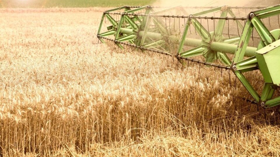 Изъятые у миллиардера Штенгелова алтайские активы перешли к структуре «Россельхозбанка»