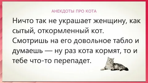 анекдоты про кошек