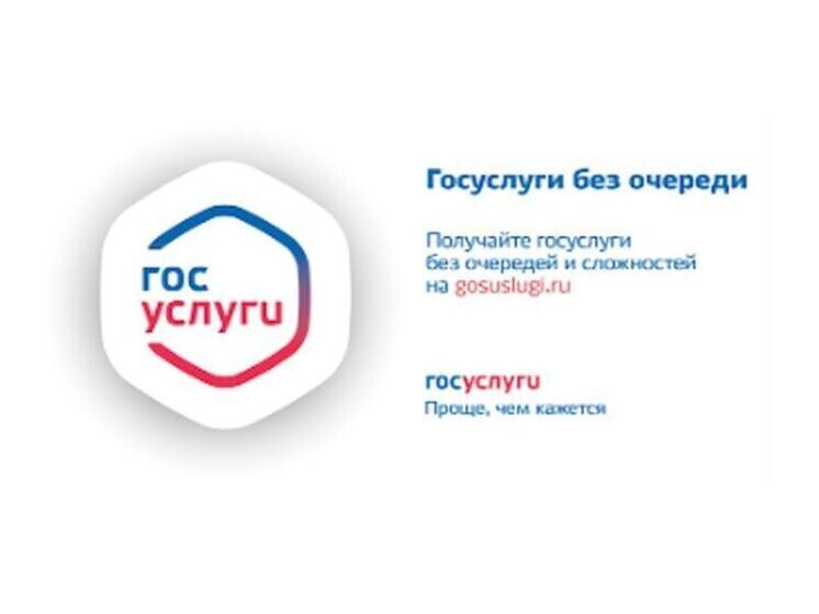     Фото: gosuslugi.ru
