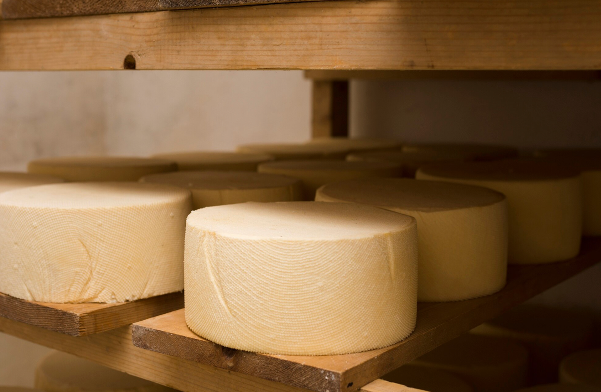 Но есть нюанс: в погребе плесень развивается активнее, поэтому за поверхностью сыра нужно следить внимательнее. Если вы готовы регулярно проверять состояние головок и контролировать чистоту полок/контейнеров, погреб может дать очень хорошие результаты — особенно для выдержанных сыров.