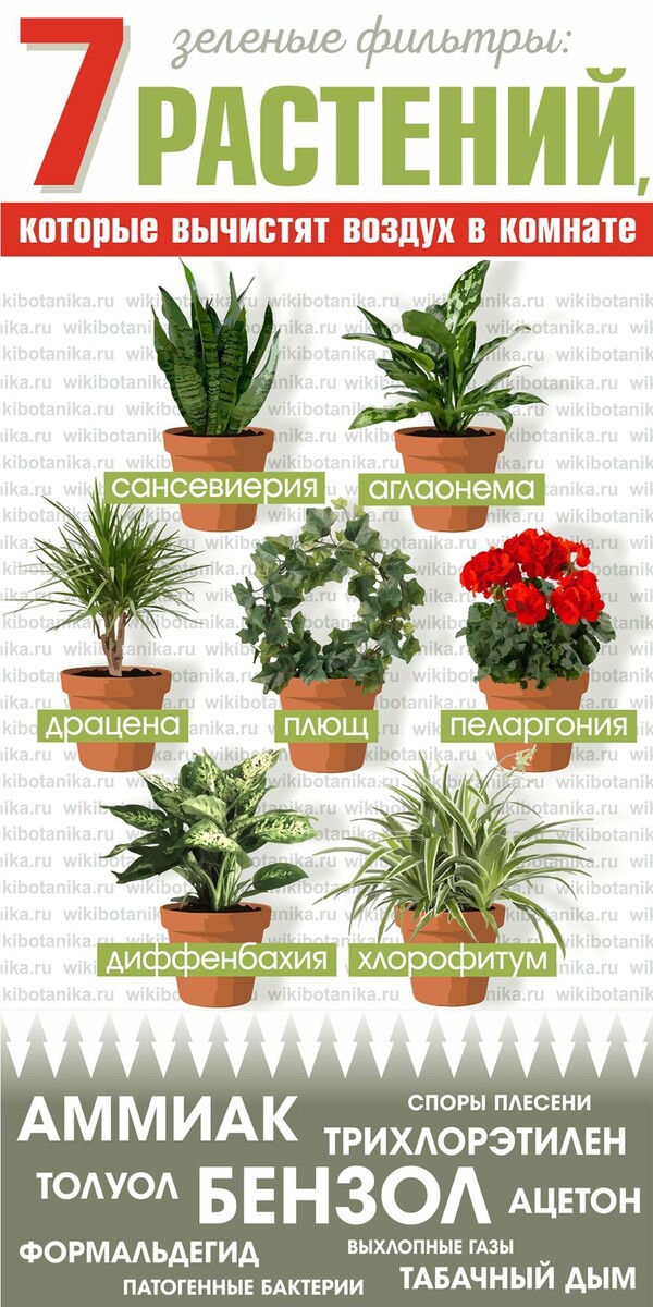 Фото из свободных источников