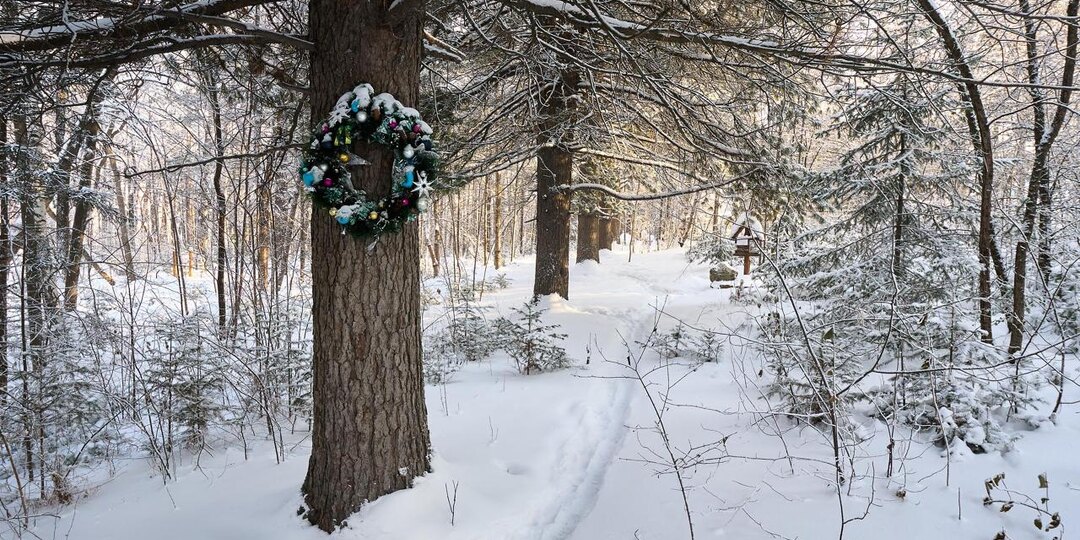 Дендросад в районе Старого скита в Дивногорске