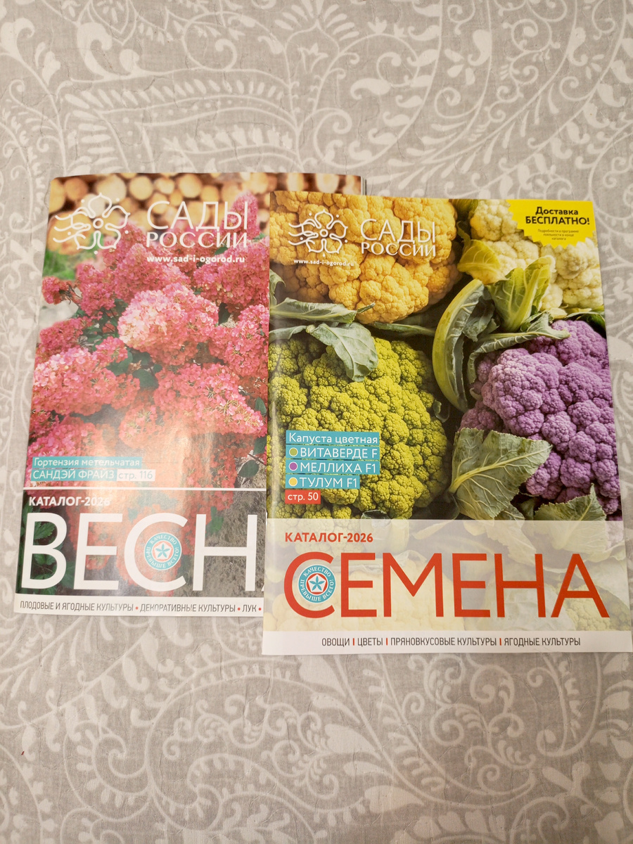 Каталоги. Дачи давно нет, а они приходят. Стабильность.