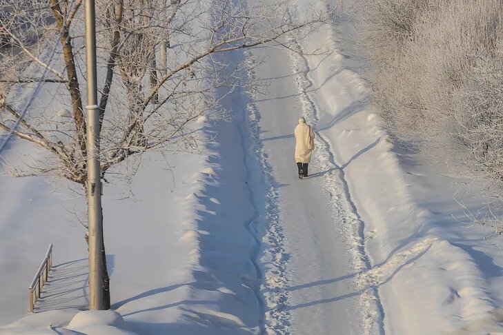    Фото Андрея Заржецкого