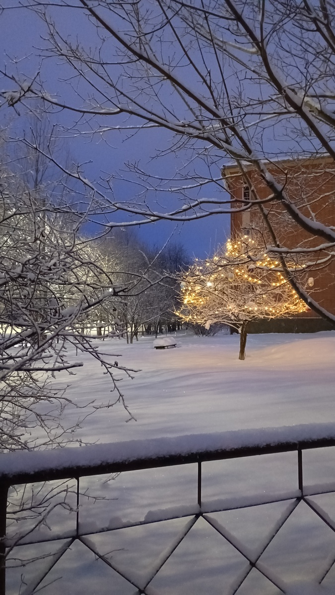 фото автора: просто фото с улицы моего города