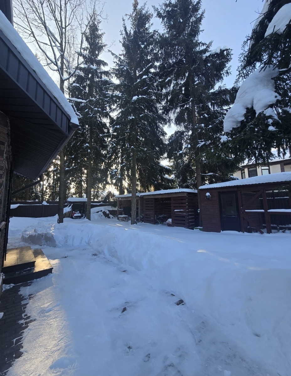 Вот такие сугробы 