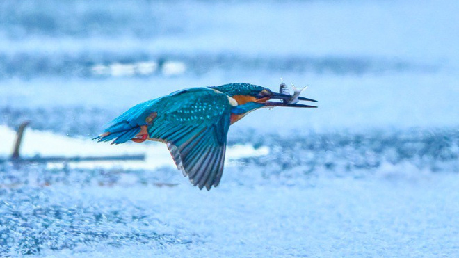 Фото: Станислав Крутоверцев