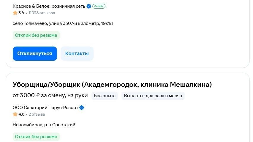    Многие работодатели готовы платить дворникам достаточно приличные по меркам Новосибирска зарплаты   atas.info
