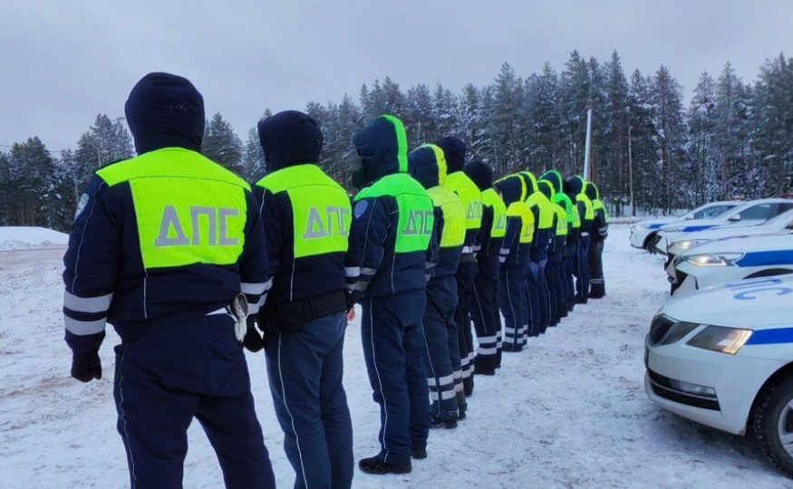 Рейды ГИБДД с 26 по 31 января: когда и за что будут штрафовать